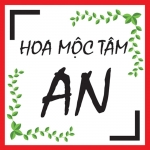 40