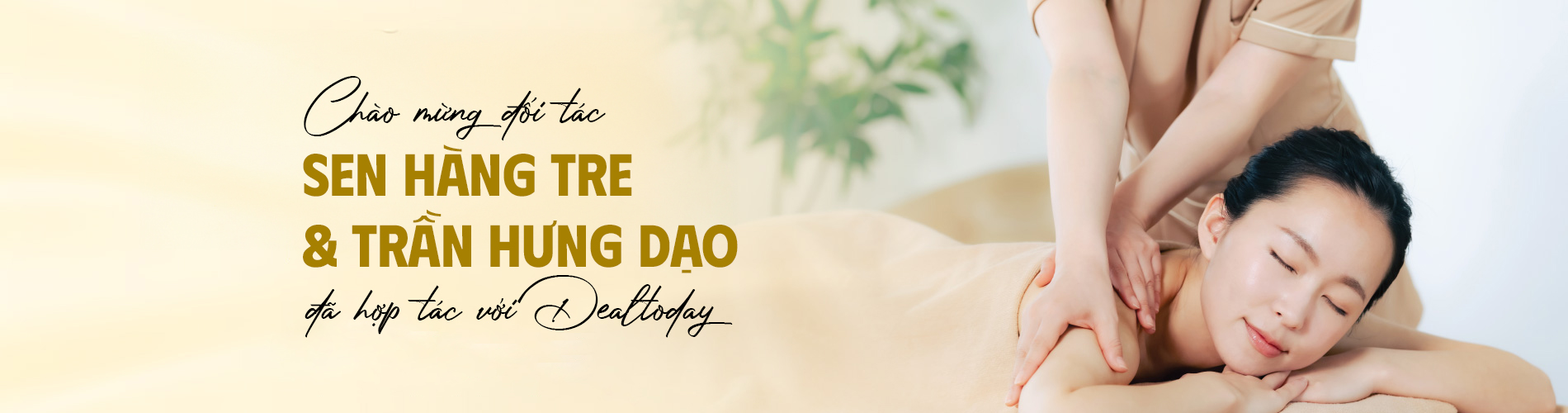 SEN 20 HÀNG TRE VÀ 72B TRẦN HƯNG ĐẠO