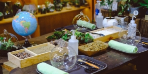Workshop Terrarium 101 trồng cây tiểu cảnh tại 9X GARDEN