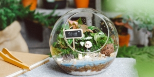 Workshop Terrarium 101 trồng cây tiểu cảnh tại 9X GARDEN