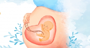 TriSure Carrier - Sàng lọc sớm các dị tật bẩm sinh nguy hiểm & phổ biến ở thai nhi tại GeneSolutions