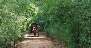Tour Củ Chi 1N - khám phá địa đạo - tòa Thánh Tây Ninh