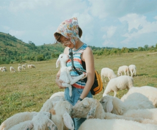 Tour Vũng Tàu - Cánh đồng hoa thạch thảo - Đồi cừu - Bến du thuyền 01 ngày
