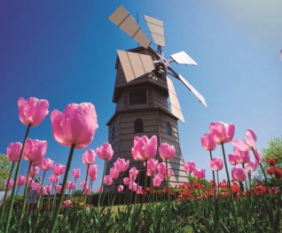 Châu Âu: Pháp - Bỉ - Hà Lan - Lễ hội hoa Tulip 7N6Đ