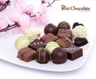 Hộp Socola quà tặng 20 - 10 Dart Chocolate - 16 viên socola tươi các vị nhân