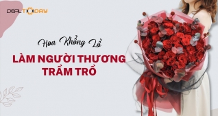 E-Coupon ưu đãi giảm giá 50% áp dụng cho đơn hàng 450k tại website Potico.vn