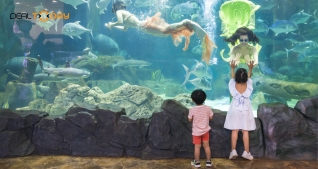 Vé vào cửa Thuỷ Cung Aquarium dành cho trẻ em dưới 140cm - Áp dụng thứ 2 đến thứ 6