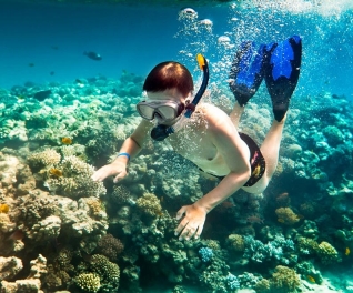 Tour câu cá, lặn ngắm san hô tại Phú Quốc (01 ngày)