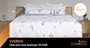 Chăn bốn mùa 200x220 OL2308