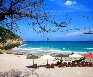 Bình Ba - Khuyến mãi hè - Lặn ngắm san hô - Mini bar trên biển -  Vườn nho Phan Rang (2N2Đ)