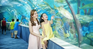 Vé vào cửa tại Thủy Cung Aquarium Times City - Áp dụng cho khách hàng trên 140 cm