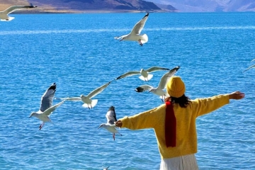 Khám phá thế giới theo cách của riêng bạn cùng Go Travel