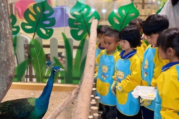 Vườn thú thu nhỏ khiến cuối tuần của bé trở nên khác biệt