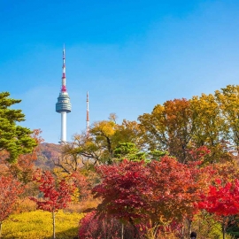 Tour du lịch trọn gói khám phá xứ sở Kim Chi Hàn Quốc - Seoul - Trượt Tuyết - Lotte World 5N4Đ