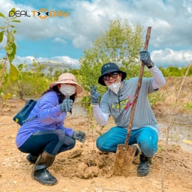 Tour du lịch sinh thái trồng cây Bến Tre - Người giữ rừng