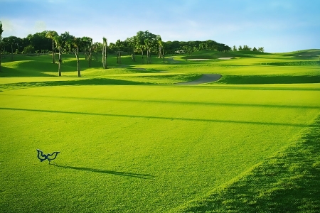 Twin Doves Golf Club