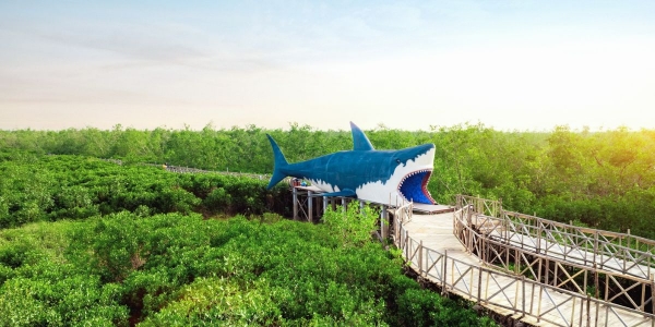 Khu du lịch quốc tế Đồi Rồng	