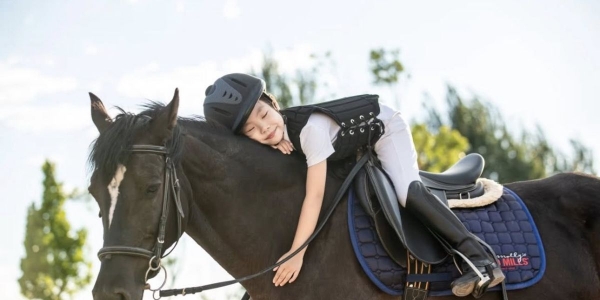 Vietgangz Horse Club Hanoi