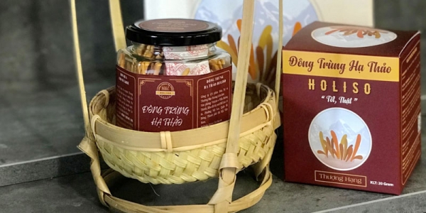 Đông trùng hạ thảo Holiso