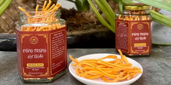 Đông trùng hạ thảo Holiso