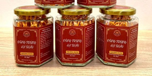 Đông trùng hạ thảo Holiso