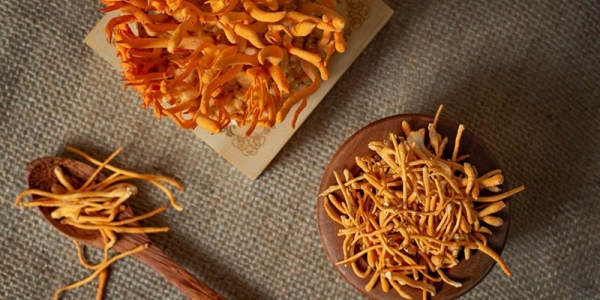 Đông trùng hạ thảo Holiso