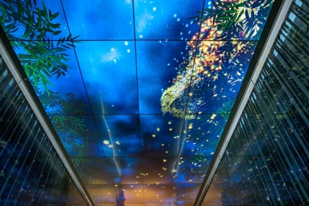 Đài quan sát Lotte Center