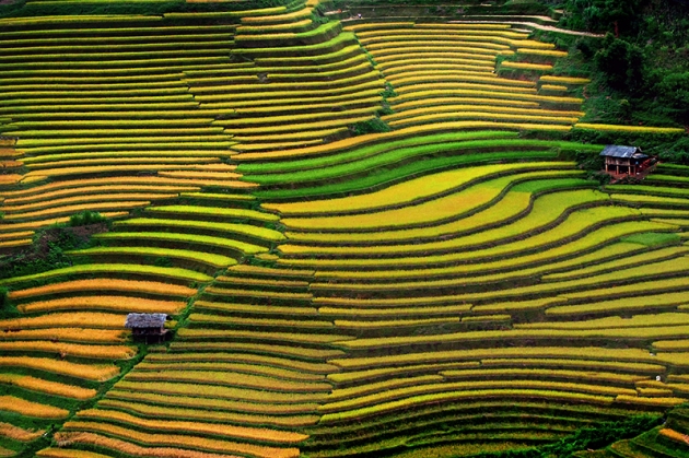 Hà Giang - Sapa - Hàm Rồng - Thác tình yêu - Ô Quy Hồ - Fansipan (5N4Đ)