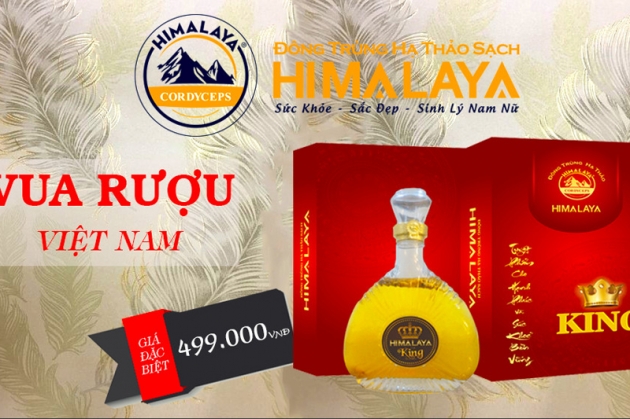 Quà tặng sức khỏe - Đông Trùng Hạ Thảo Himalaya King