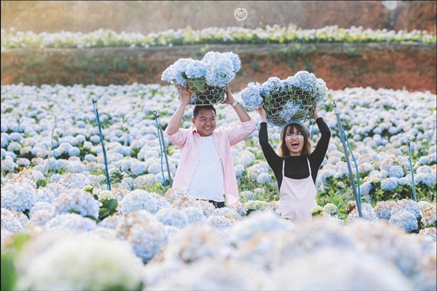 Tour Đà Lạt 3N3Đ - Vườn hoa cẩm tú cầu - Thác Pongour - Làng rau tổng hợp
