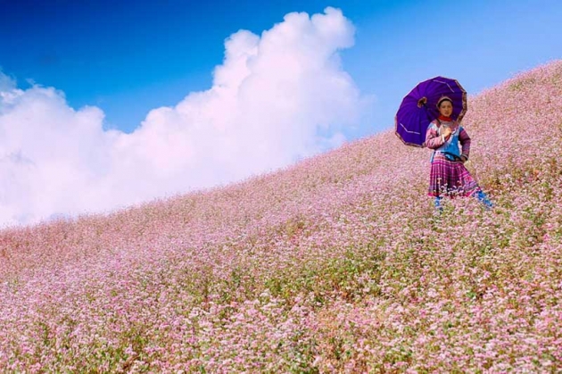 Tour Hà Giang mùa hạ - Khám phá Cao nguyên đá Đồng Văn (3N2Đ)