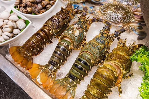 Saigon Prince Hotel 4 sao - Buffet tối hải sản tôm hùm - Phố đi bộ Nguyễn Huệ