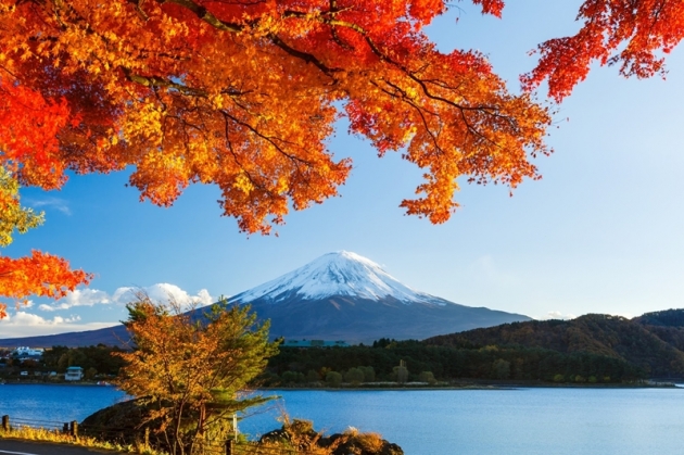 Tour Nagoya - Nara - Osaka - Kyoto - Núi Phú Sĩ - Tokyo 6N5Đ
