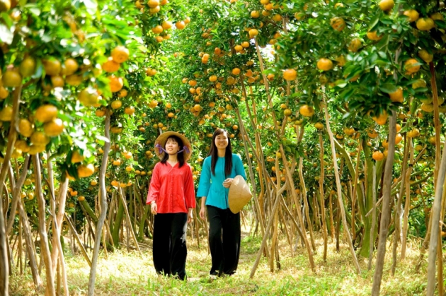 Tour Miền Tây: Mỹ Tho - Bến Tre (Khởi hành mỗi ngày)