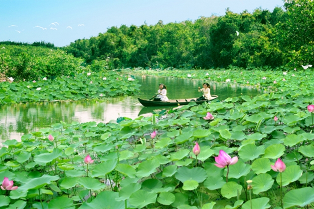 Tour Mỹ Tho - Bến Tre - Cần Thơ (2N1Đ)