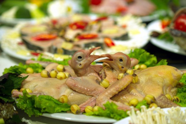 Thưởng thức set lẩu hấp Gà – Bò - Chim câu tại nhà hàng Lẩu Hấp Fresh