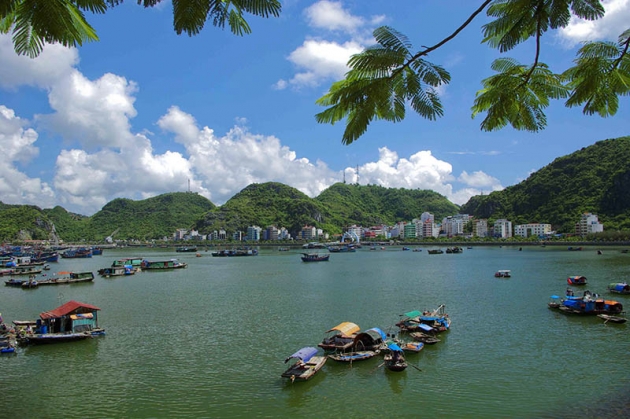 Sảng khoái mùa hè với Tour Hà Nội - Cát Bà 3N2Đ từ APT Travel