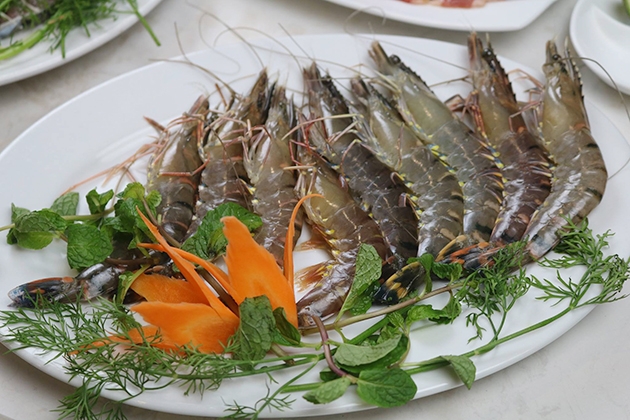 Lẩu hơi đặc biệt có cá tầm, tôm, ngao - Áp dụng buổi trưa tại Lẩu hơi Cosmos
