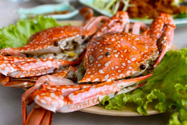 Hà Nội – Vịnh Hạ Long – Hà Nội (2N1Đ)