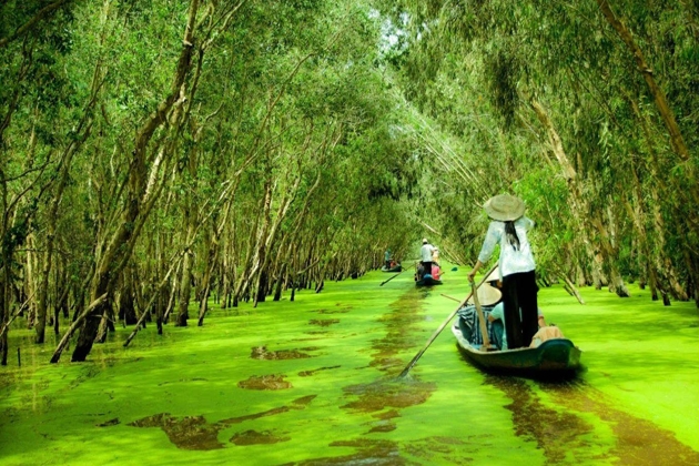 Tour rừng tràm Trà Sư - Châu Đốc - Chợ Tịnh Biên (1N1Đ)