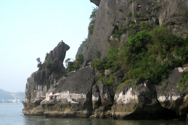 Tour Du lịch Hạ Long (1N) cùng Du lịch Niềm Vui