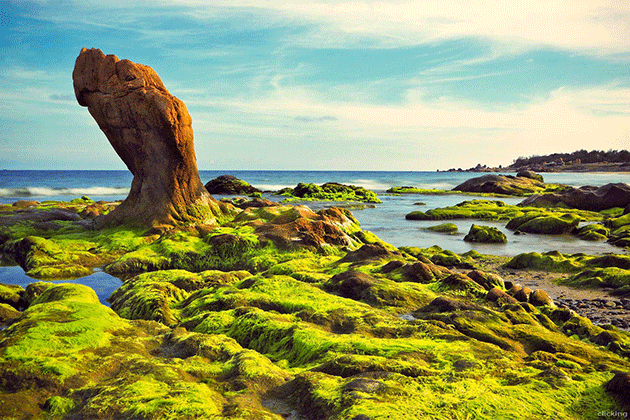 Du lịch Ninh Chữ - Vịnh Vĩnh Hy 2N1Đ
