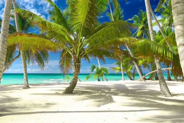 Tour Nha Trang - Đà Lạt (4N3Đ) cùng Trí Việt Travel