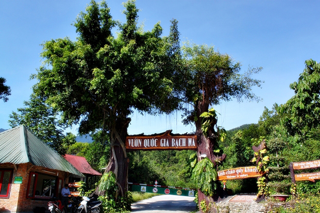 Tham quan Đà Nẵng - Rừng quốc gia Bạch Mã cùng Libra Travel