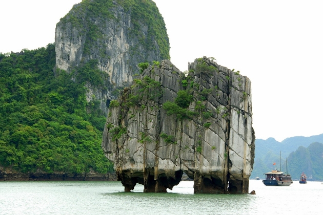 Tour Du lịch Hạ Long (1N) cùng Du lịch Niềm Vui