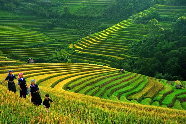 Tour Du Lịch Sapa