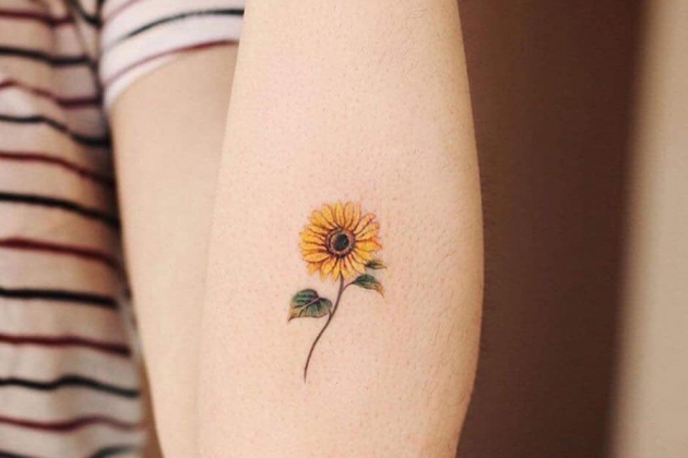 Đào tạo Tattoo Mini: \