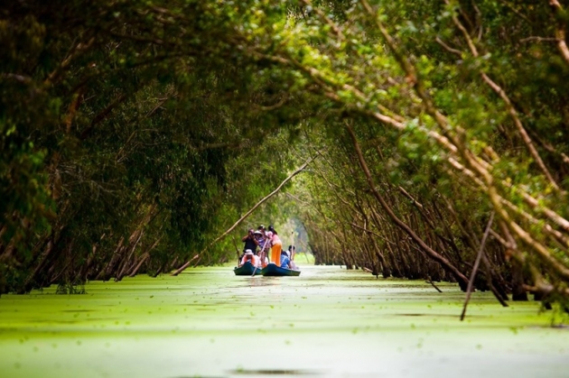 Tour rừng Tràm Trà Sư - Miếu Bà chúa xứ - Chợ Tịnh Biên - Thiên Cấm Sơn (2N1Đ)