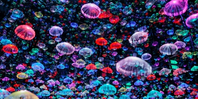 Flyover-Starry-Sky-Art-Museum-5