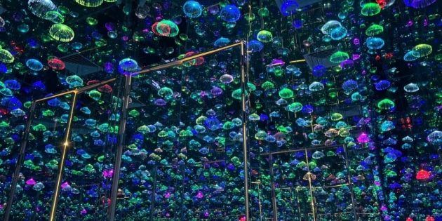 HLC-Starry-Sky-Art-Museum-1